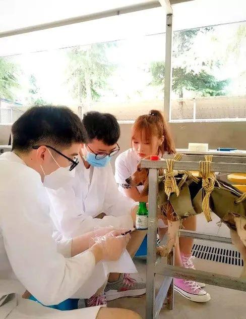 说明: http://wsg.haust.edu.cn:8080/_vsl/A4D9E8E082B902B7DD3E4E8F300B1595/8206C29C/C998